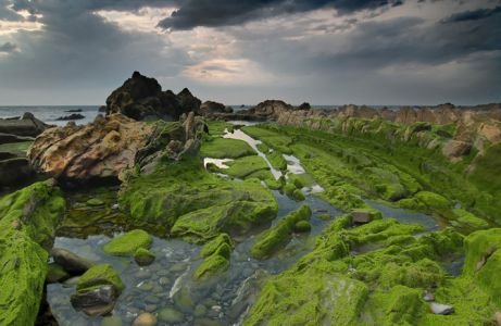 Barrika11