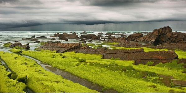 Barrika3
