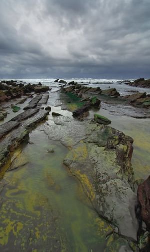 Barrika4