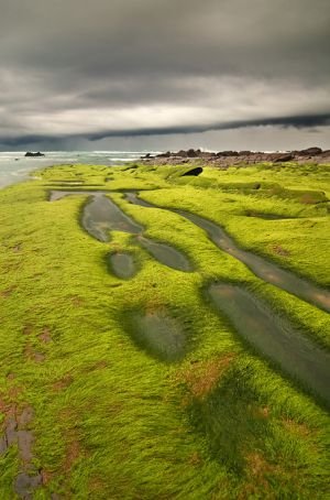 Barrika9